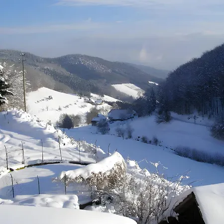 Heizmannshof Apartment *