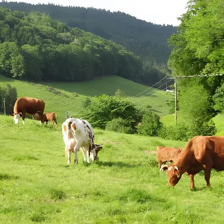 Heizmannshof * Hofstetten (Baden-Wurttemberg)