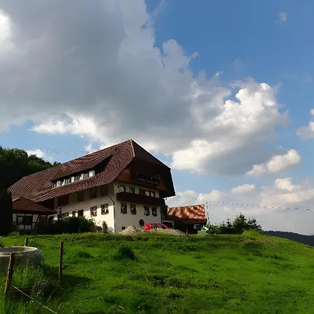 公寓 Heizmannshof