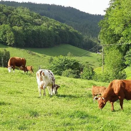 Heizmannshof * Hofstetten (Baden-Wurttemberg)