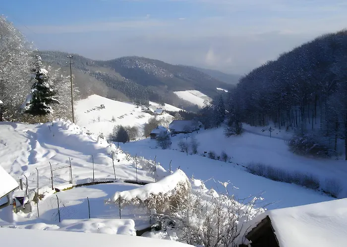 Heizmannshof Апартаменты *